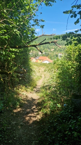 Photos 3 - Rurale - TERRAIN DE LOISIR DE 6 835 M2 À ARS-SUR-MOSELLE