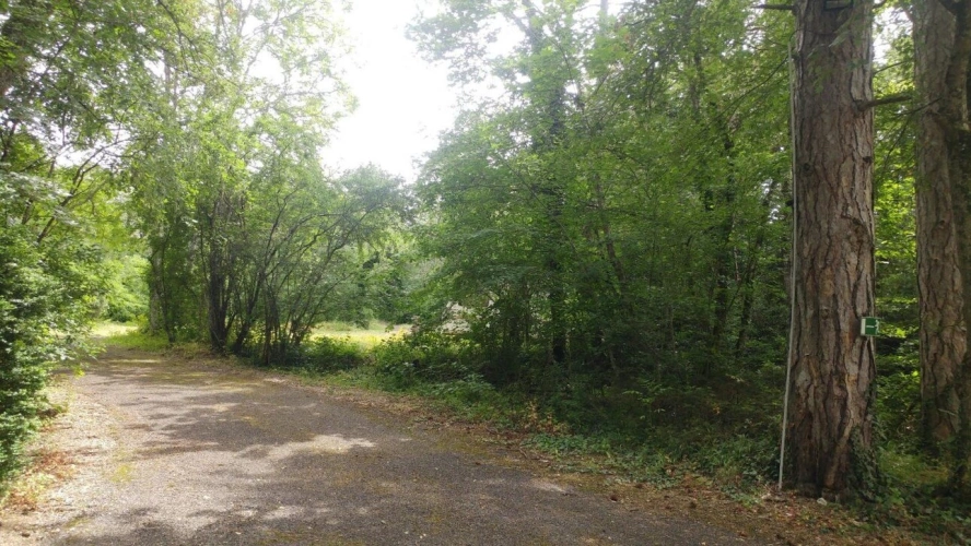 Photos 9 - Prestige - Domaine entre Lot et Dordogne avec camping  4*