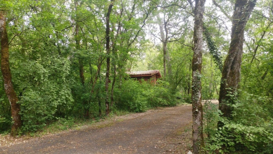 Photos 16 - Prestige - Domaine entre Lot et Dordogne avec camping  4*