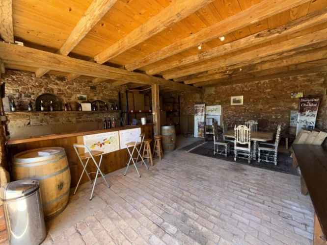 Photos 9 - Viticole - Domaine viticole d'exception à vendre   AOC Châteaumeillant