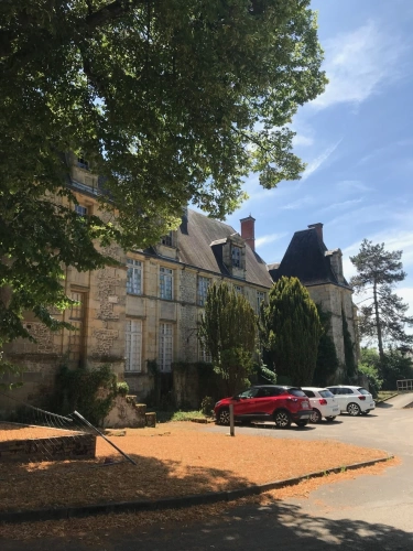 Photos 7 - Prestige - Château à VIERZON (18)