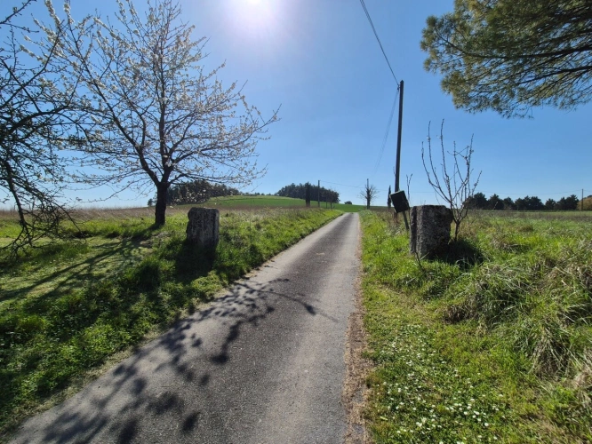 Photos 45 - Rurale - Corps de Ferme, écrin de verdure, 250 m2 habitables, 23 000 m2 de terrain, 400 m2 de dépendances, 20 mn Angoulême centre