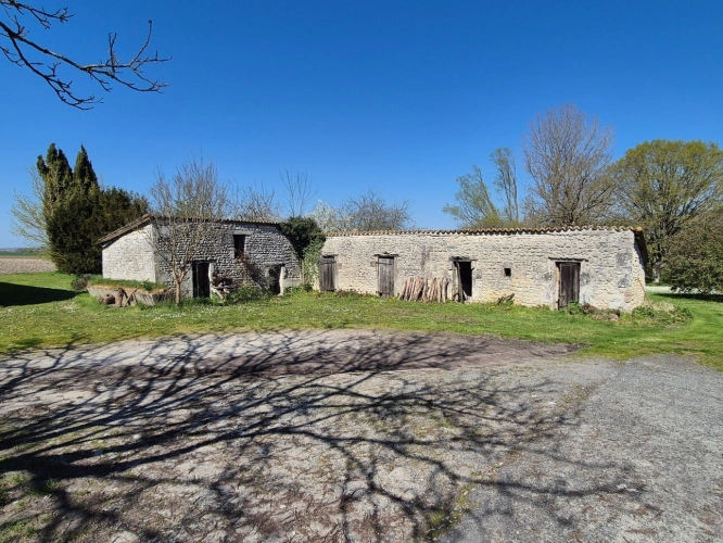 Photos 49 - Rurale - Corps de Ferme, écrin de verdure, 250 m2 habitables, 23 000 m2 de terrain, 400 m2 de dépendances, 20 mn Angoulême centre