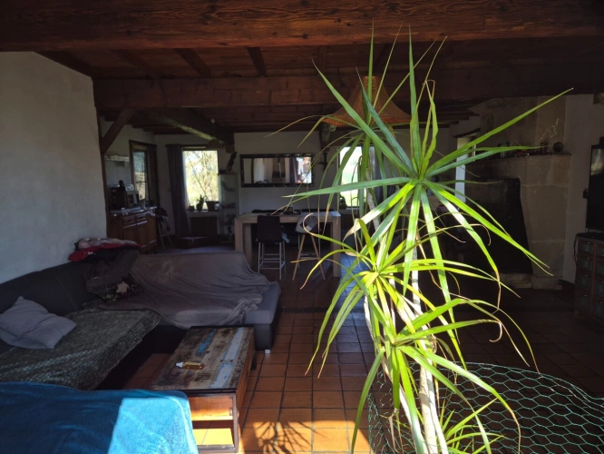 Photos 59 - Rurale - Corps de Ferme, écrin de verdure, 250 m2 habitables, 23 000 m2 de terrain, 400 m2 de dépendances, 20 mn Angoulême centre