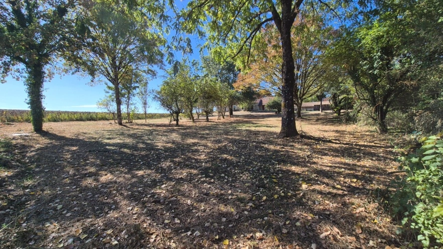 Photos 4 - Rurale - Corps de Ferme, écrin de verdure, 250 m2 habitables, 23 000 m2 de terrain, 400 m2 de dépendances, 20 mn Angoulême centre