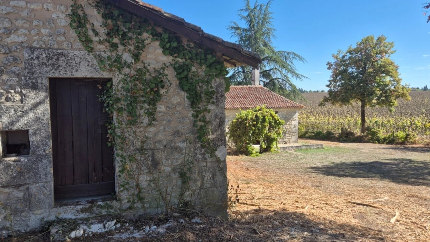 Photos 11 - Rurale - Corps de Ferme, écrin de verdure, 250 m2 habitables, 23 000 m2 de terrain, 400 m2 de dépendances, 20 mn Angoulême centre