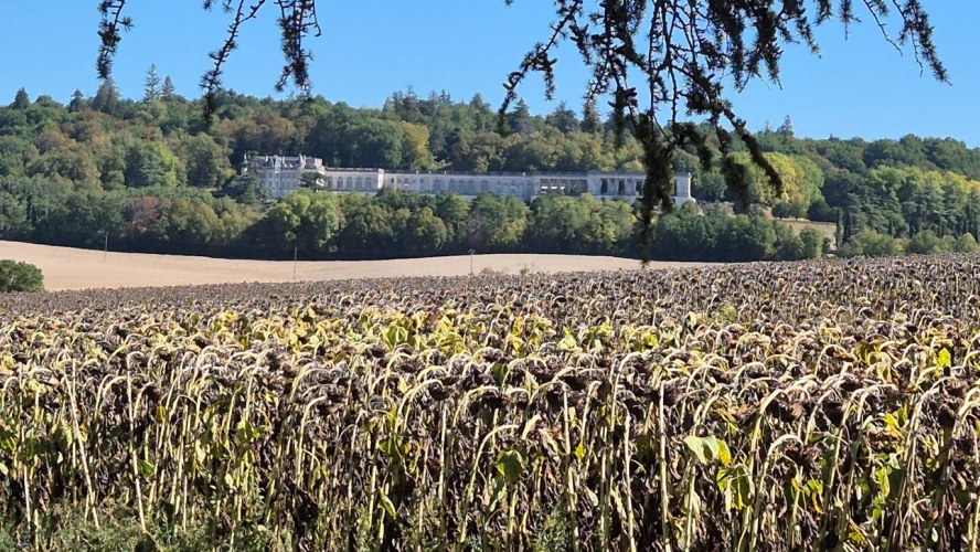 Photos 13 - Rurale - Corps de Ferme, écrin de verdure, 250 m2 habitables, 23 000 m2 de terrain, 400 m2 de dépendances, 20 mn Angoulême centre