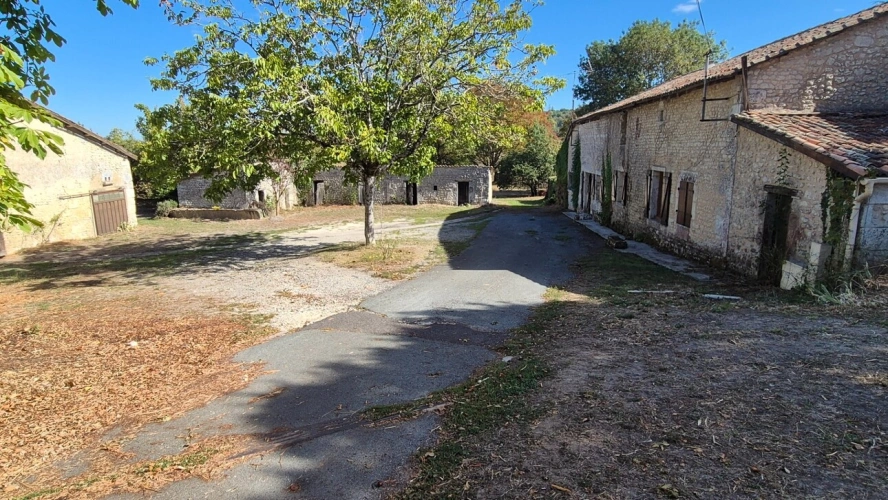Photos 18 - Rurale - Corps de Ferme, écrin de verdure, 250 m2 habitables, 23 000 m2 de terrain, 400 m2 de dépendances, 20 mn Angoulême centre