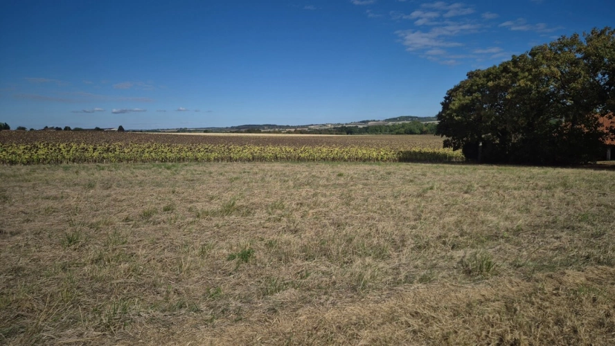 Photos 25 - Rurale - Corps de Ferme, écrin de verdure, 250 m2 habitables, 23 000 m2 de terrain, 400 m2 de dépendances, 20 mn Angoulême centre