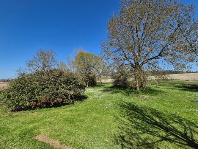 Photos 30 - Rurale - Corps de Ferme, écrin de verdure, 250 m2 habitables, 23 000 m2 de terrain, 400 m2 de dépendances, 20 mn Angoulême centre