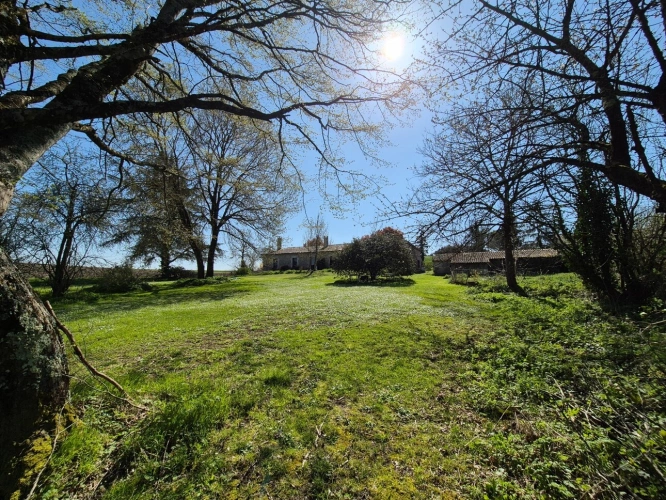 Photos 34 - Rurale - Corps de Ferme, écrin de verdure, 250 m2 habitables, 23 000 m2 de terrain, 400 m2 de dépendances, 20 mn Angoulême centre