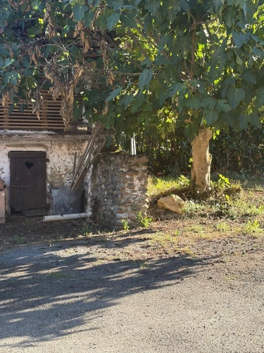 Photos 11 - Prestige - PLAISANCE (32) et MAUBOURGUET (65) proche: Au calme, BELLE PROPRIETE RURALE de 180m2 sur un terrain arboré 1.5 hectare, SANS TRAVAUX, SANS VIS à VIS...LIEU RESSOURCE