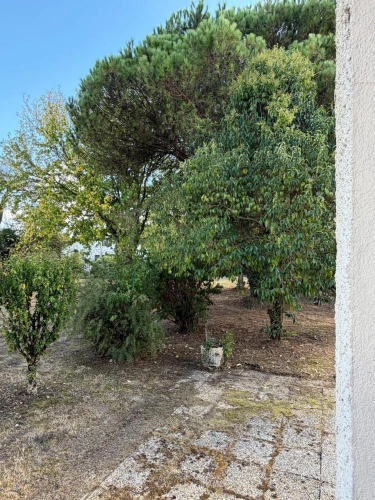 Photos 35 - Prestige - PLAISANCE (32) et MAUBOURGUET (65) proche: Au calme, BELLE PROPRIETE RURALE de 180m2 sur un terrain arboré 1.5 hectare, SANS TRAVAUX, SANS VIS à VIS...LIEU RESSOURCE