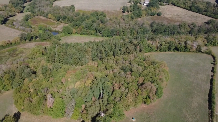 Photos 12 - Prestige - Château du XVIᵉ siècle à Aigurande - 600 m² habitables - 9 ha de prairies et bois – Pays de George Sand Indre (36) 599 000 €