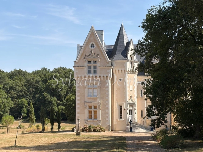 Photos 2 - Prestige - Propriete à vendre 8 pièces proche de LOCHES (37)