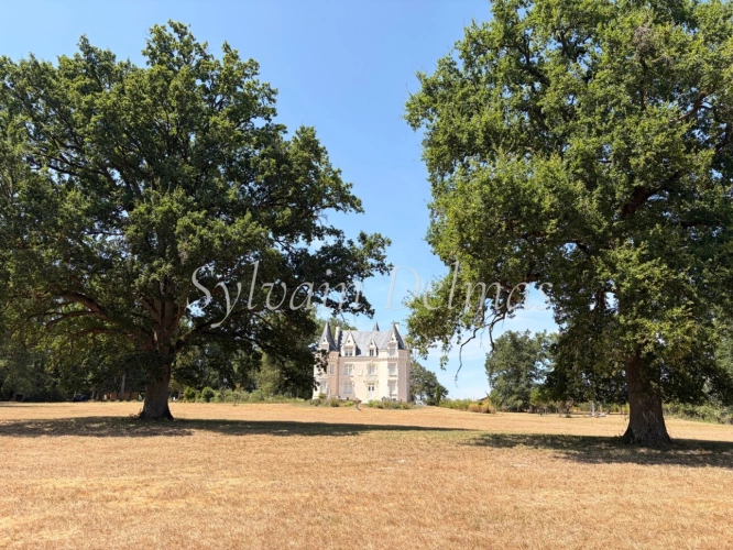 Photos 10 - Prestige - Propriete à vendre 8 pièces proche de LOCHES (37)
