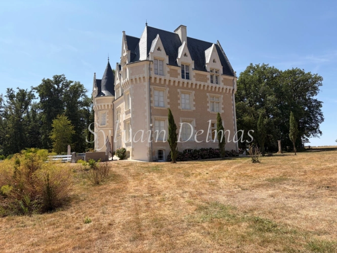 Photos 11 - Prestige - Propriete à vendre 8 pièces proche de LOCHES (37)