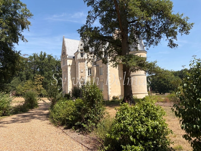 Photos 12 - Prestige - Propriete à vendre 8 pièces proche de LOCHES (37)