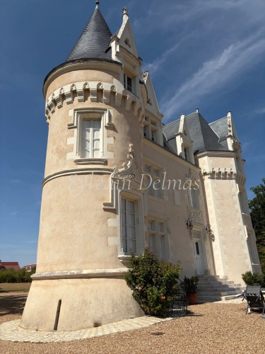 Photos 16 - Prestige - Propriete à vendre 8 pièces proche de LOCHES (37)