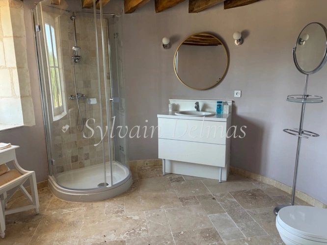 Photos 23 - Prestige - Propriete à vendre 8 pièces proche de LOCHES (37)