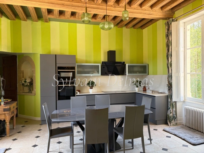Photos 24 - Prestige - Propriete à vendre 8 pièces proche de LOCHES (37)