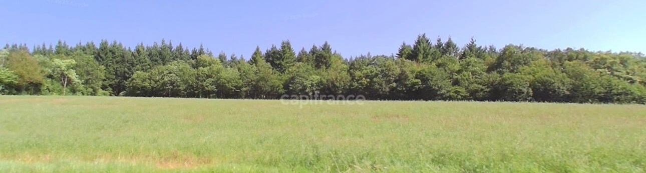 Photos 1 - Prestige - Propriété FORESTIERE GIRY (58)