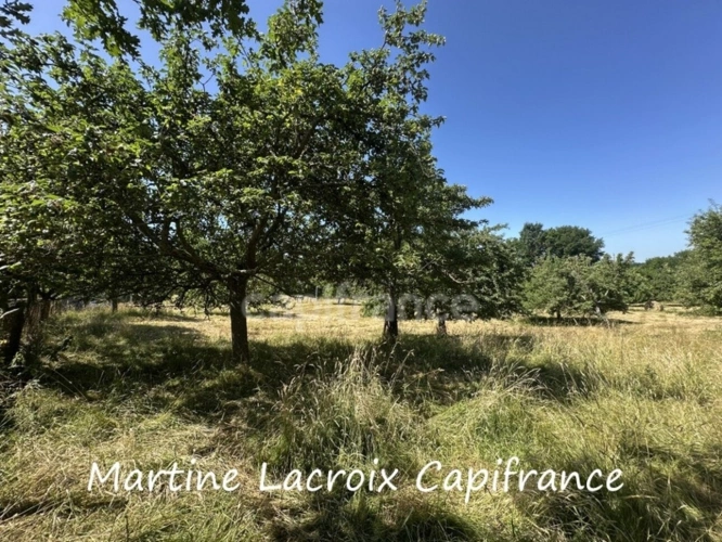 Photos 14 - Rurale - Dpt SARTHE (72), à vendre proche de LA FERTE BERNARD - PROPRIÉTÉ  ET DÉPENDANCES - PRAIRIES de 11 HECTARES