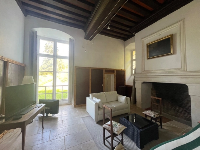 Photos 7 - Prestigious - Propriété à vendre 17 pièces SAINT OUEN LES VIGNES (37)