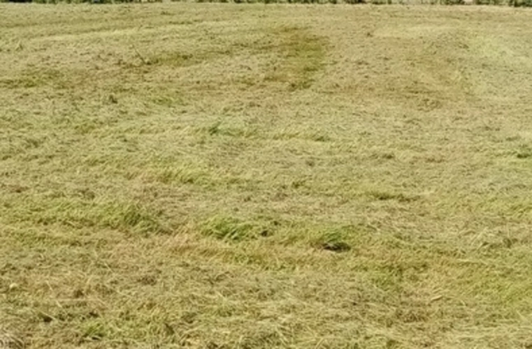 Photos 1 - Agricole - Terrain à vendre HEURTEAUVILLE (76)