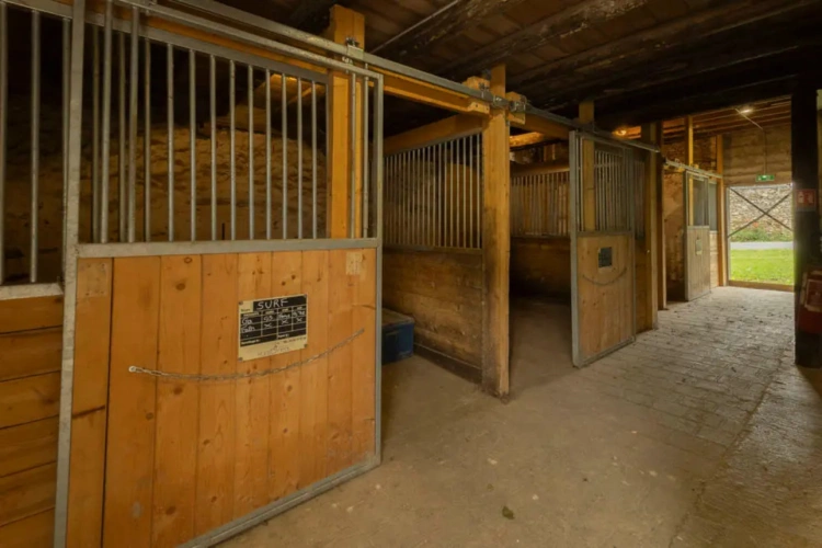 Photos 2 - Équestre - Propriété équestre - Brie des Morins