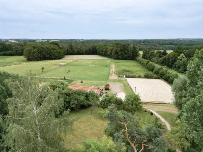 Photos 3 - Équestre - Propriété équestre - Brie des Morins