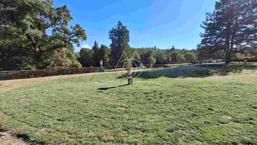 Photos 12 - Prestige - Exceptionnel château XV-XVI et XIXe avec son hameau et ses 108 hectares avec possibilité d’acheter 200ha attenants supplémentaires