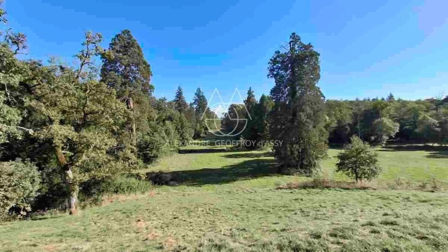 Photos 15 - Prestige - Exceptionnel château XV-XVI et XIXe avec son hameau et ses 108 hectares avec possibilité d’acheter 200ha attenants supplémentaires