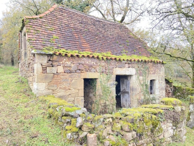 Photos 2 - Rurale - Exceptionnel : Devenez propriétaire de votre propre colline