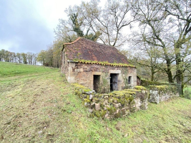 Photos 3 - Rurale - Exceptionnel : Devenez propriétaire de votre propre colline