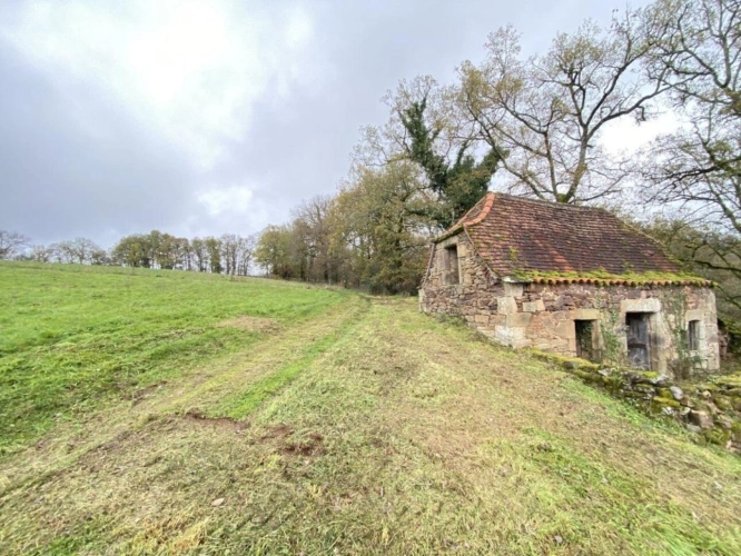 Photos 7 - Rurale - Exceptionnel : Devenez propriétaire de votre propre colline