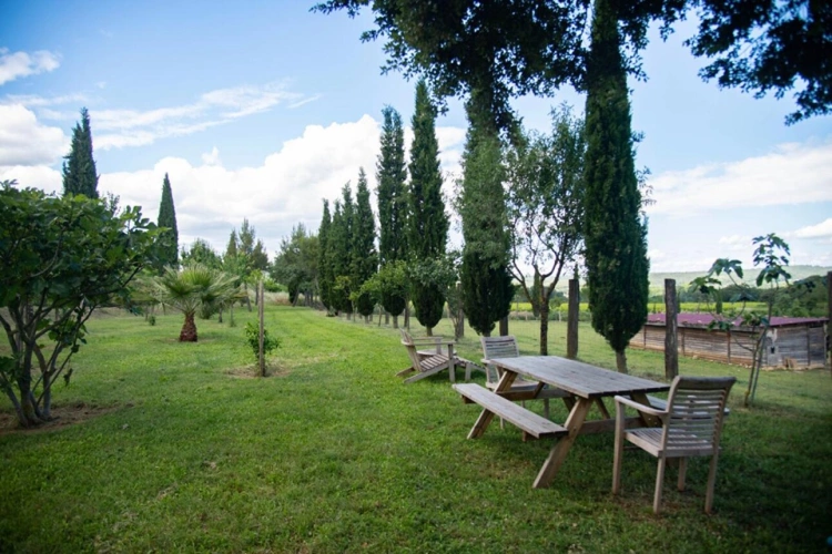Photos 20 - Prestige - Domaine provençal dans la vallée de Cèze