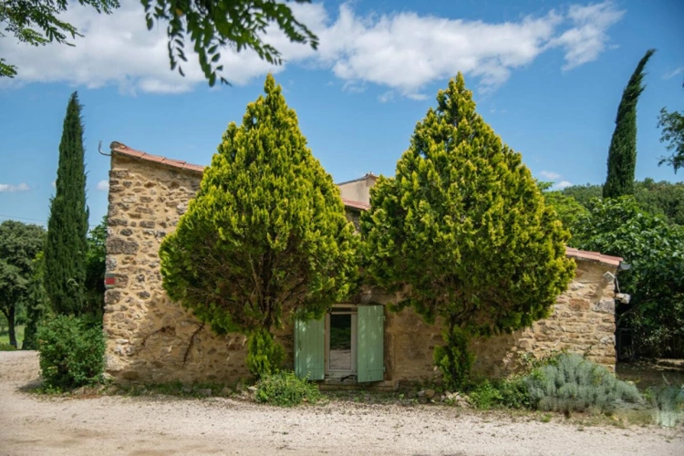 Photos 23 - Prestige - Domaine provençal dans la vallée de Cèze