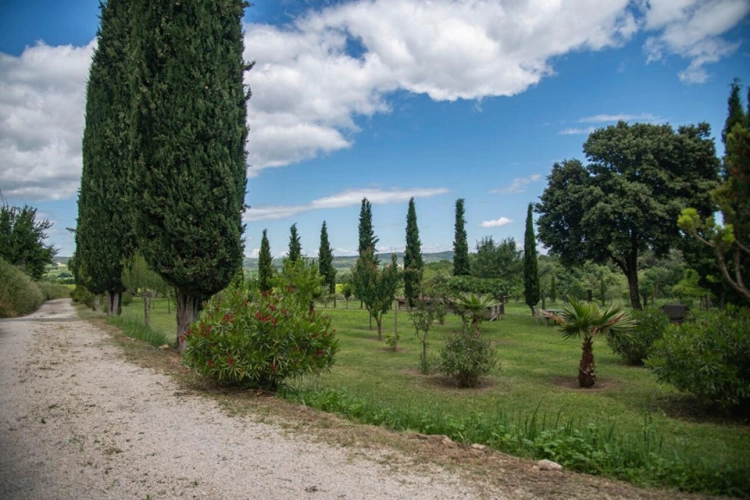 Photos 26 - Prestige - Domaine provençal dans la vallée de Cèze