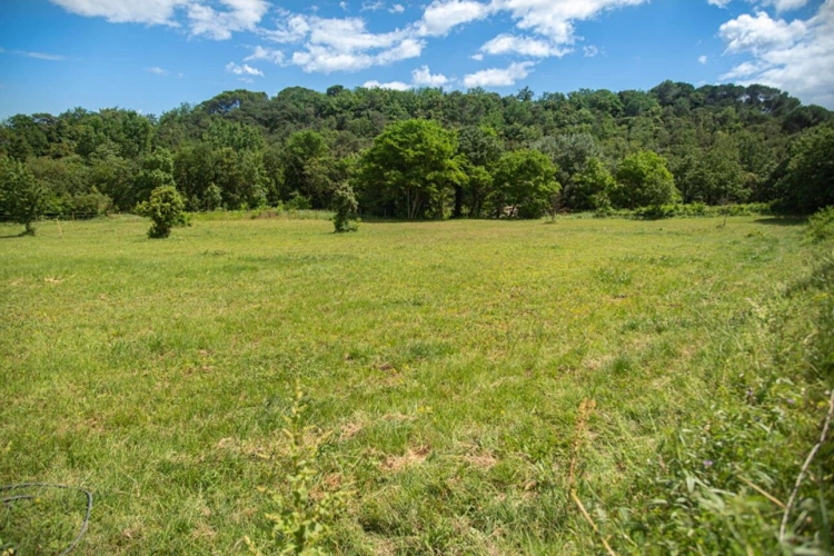 Photos 27 - Prestige - Domaine provençal dans la vallée de Cèze