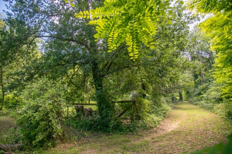 Photos 29 - Prestige - Domaine provençal dans la vallée de Cèze