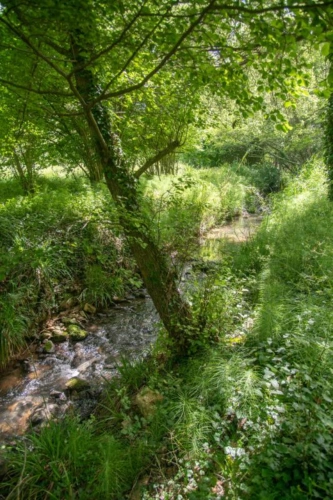 Photos 30 - Prestige - Domaine provençal dans la vallée de Cèze