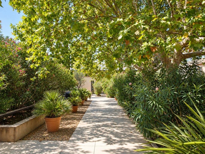 Photos 9 - Équestre - Domaine d'exception de 11,5 hectares .Un futur resort équestre au coeur des Alpilles