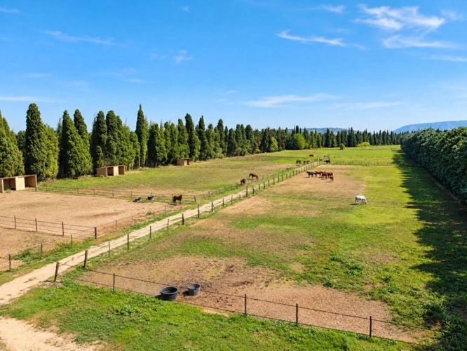Photos 15 - Équestre - Domaine d'exception de 11,5 hectares .Un futur resort équestre au coeur des Alpilles