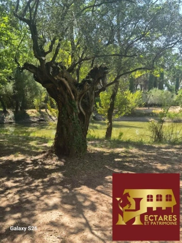 Photos 12 - Prestige - Propriété de charme sur 1ha de terrain au calme absolu sans être isolé