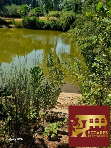 Photos 13 - Prestige - Propriété de charme sur 1ha de terrain au calme absolu sans être isolé