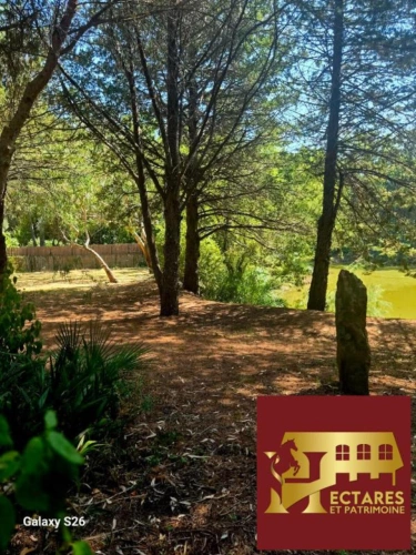 Photos 18 - Prestige - Propriété de charme sur 1ha de terrain au calme absolu sans être isolé