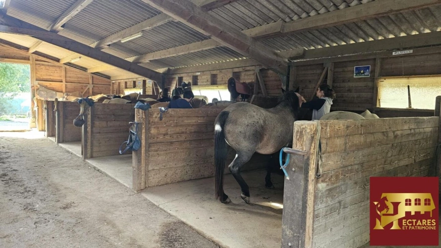 Photos 11 - Equestrian - Loisirs/Elevage/Hébergements 10 à 60 hectares attenants