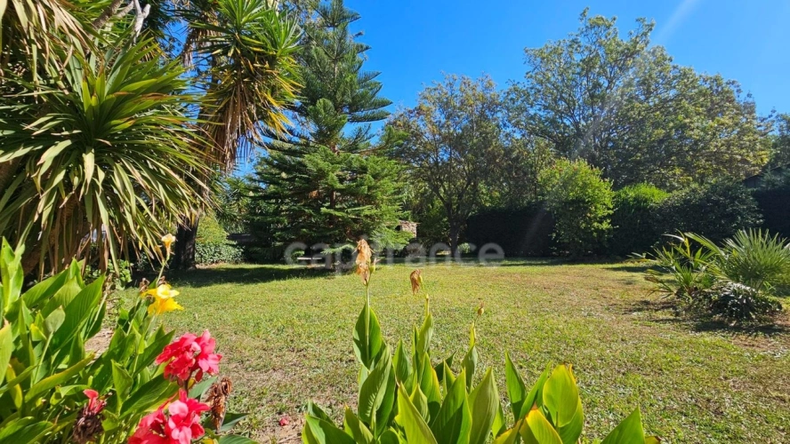 Photos 3 - Prestige - HYÈRES – PROPRIÉTÉ  SUR PLUS D'1 HECTARE – MAISON PRINCIPALE DE PLAIN-PIED, PISCINE ET ENSEMBLE BÂTI