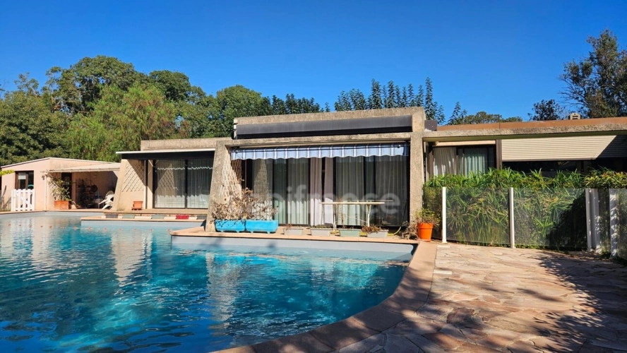Photos 5 - Prestige - HYÈRES – PROPRIÉTÉ  SUR PLUS D'1 HECTARE – MAISON PRINCIPALE DE PLAIN-PIED, PISCINE ET ENSEMBLE BÂTI